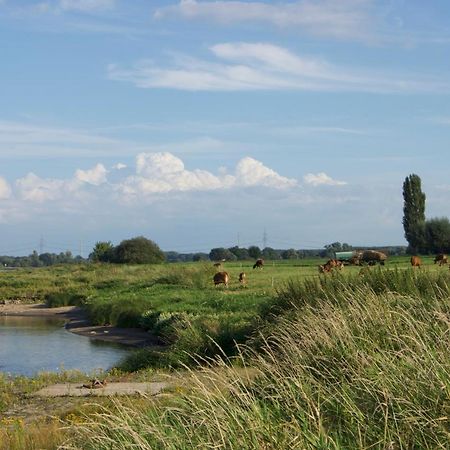 "Ferienwohnung Am Schloss" - Ferienwohnung Mit Blick Auf Das Barbyer Schloss, 5 Gehminuten Bis Zur Elbe Εξωτερικό φωτογραφία